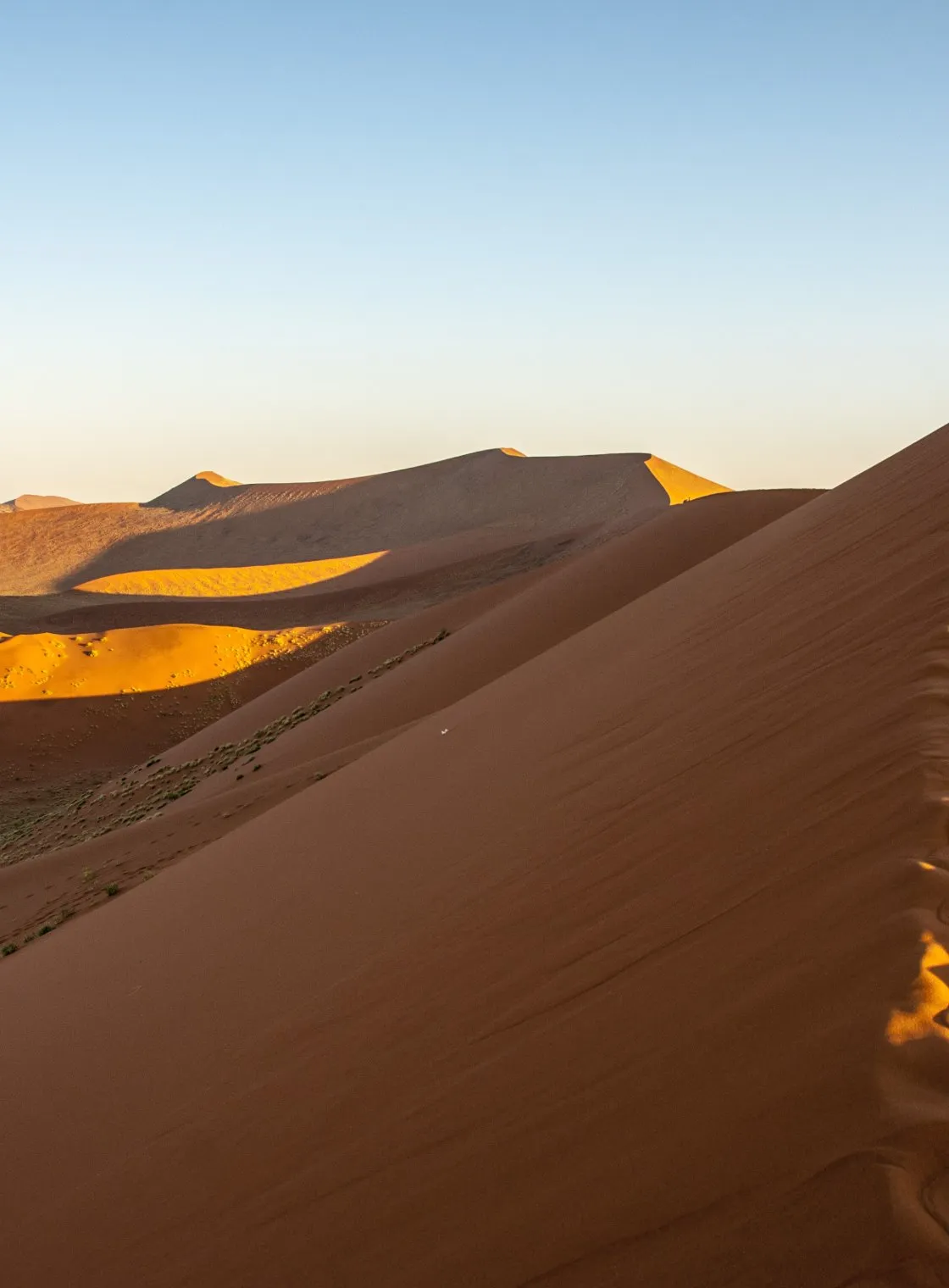 Crête de dune au soleil rasant, sans présence humaine